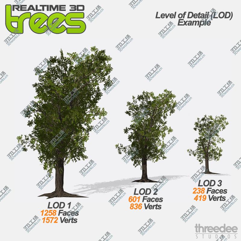 images/goods_img/2021040233/Realtime 3D Trees XL - 16 Pack/3.jpg